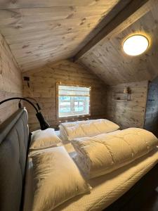 TjørhomHoliday cottage with sauna close to Kjerag的小木屋内一间卧室,配有两张床