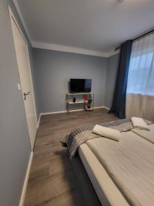 凯夫拉维克Guesthouse Maximilian的一间卧室配有一张床和一台平面电视