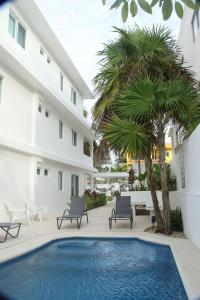 莫雷洛斯港Edifico con departamentos amplios cerca de la playa的一座带两把椅子和一棵棕榈树的建筑前的游泳池