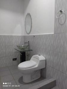 普卡尔帕Hotel LUCHINE的浴室设有卫生间和墙上的镜子。