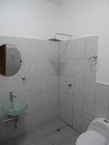 普卡尔帕Hotel LUCHINE的一间带水槽、镜子和卫生间的浴室