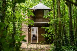 布兰德福德福鲁姆Honeycombe - Treehouse in the Heart of Dorset的树林中的一个小房子,有窗户