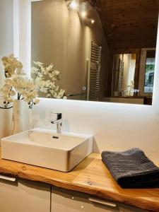 阿彭策尔Chalet - Kleines Paradies -的浴室设有白色水槽和镜子