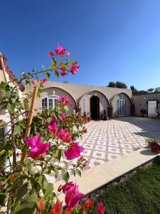 卢克索West Bank luxury villa的院子里有粉红色花的房子