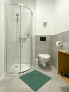 戈雷尼斯卡地区采尔克列The View 22的带淋浴的浴室和绿色地毯。