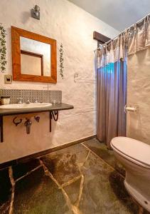 瓜拉雷马Sitio Del Serrans c lazer completo em Guararema SP的一间带卫生间、水槽和镜子的浴室