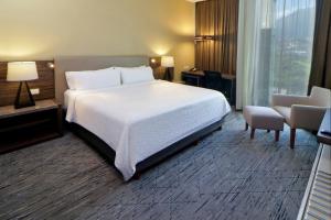 蒙特雷蒙特雷山谷智选假日酒店的卧室配有一张白色大床和一把椅子