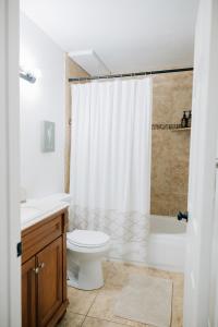 盐湖城Monthly Rate Special - Heart of SLC的一间带卫生间和淋浴帘的浴室