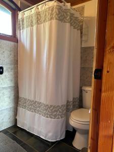 奥克泰港Zapato Amarillo Bed & Breakfast的一间带卫生间和淋浴帘的浴室