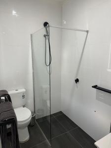 布罗肯希尔Away on Blende Studio Loft的一间带卫生间和玻璃淋浴间的浴室