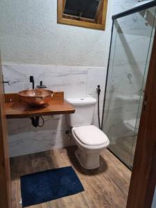 皮雷诺波利斯Sítio Quinta da Mata Chalé Amarelo的浴室配有卫生间、盥洗盆和淋浴。