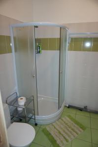 阿卢克斯内Holiday Apartment的带淋浴和卫生间的浴室