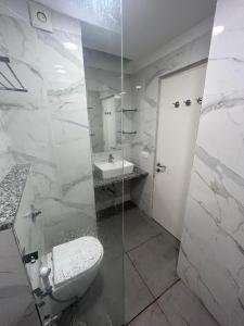 新德里Ivy League House, Pyramid Residency的一间带卫生间和水槽的浴室