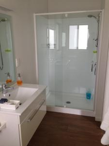 派西亚贝瓦特维尔酒店的带淋浴的浴室和玻璃门
