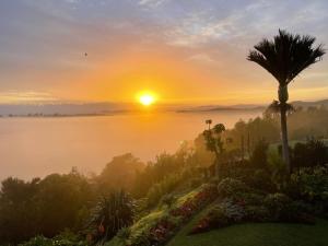 派西亚贝瓦特维尔酒店的棕榈树的雾 ⁇ 湖上的日出