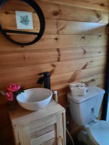 Chalets Chomoni的浴室设有木墙、水槽和卫生间