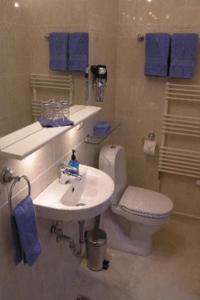 雷克雅未克凤凰酒店的浴室配有水槽、卫生间和蓝色毛巾。