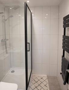 浦耳Dorset Stylish Apartment的浴室里设有玻璃门淋浴