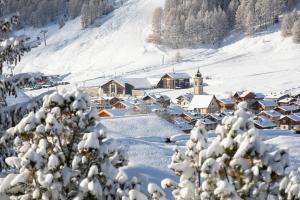 利维尼奥Genziana - Happy Rentals的雪覆盖的村庄,山中