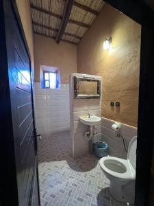 NkobLa perle de saghro的一间带卫生间和水槽的浴室