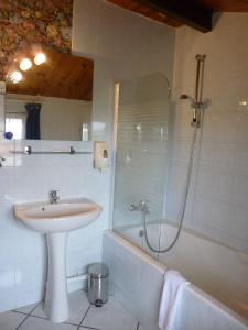 SolgneLes Chambres De Solgne的白色的浴室设有水槽和淋浴。