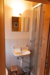 圣安特尼恩Berghaus Sulzfluh的一间带水槽和淋浴的浴室