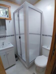 圣卡洛斯-德巴里洛切Tiny House Melgarejo的带淋浴、卫生间和盥洗盆的浴室