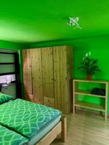 圣安东阿尔贝格Ciao Amore St. Anton的绿色卧室设有床铺和绿色天花板