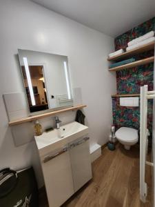 拉瓦勒Le domaine de Bachmay的一间带水槽、卫生间和镜子的浴室