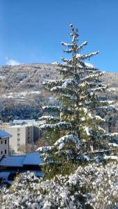 布里昂松Coquet appartement Type 2 de 56 m² en centre ville的山上白雪覆盖的圣诞树