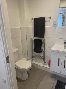 贝里圣埃德蒙兹Modern The Mews Apartment的白色的浴室设有卫生间和水槽。