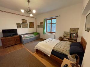 布达佩斯Rustic Cottage & Garden Retreat on Buda Hilltop的一间卧室配有一张床和一台平面电视