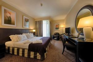 加亚新城索维德Spa和健康中心酒店的配有一张床和一张书桌的酒店客房