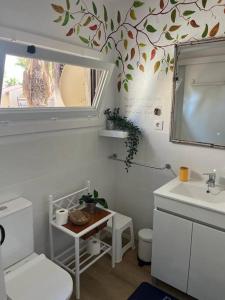 Parque HolandesCasa Cactus Paraiso的一间带卫生间、水槽和镜子的浴室