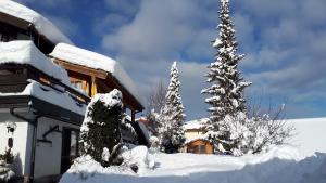 鲁波尔丁Hotel - Pension - Heidelberg的两棵圣诞树旁的雪覆盖的房子