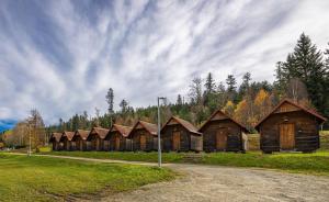 泽勒兹纳·鲁达Camping Železná Ruda的田野上的一排小木屋