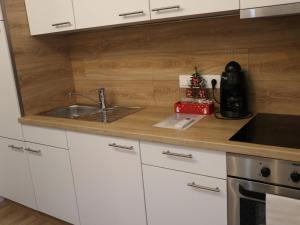 艾斯特根Glamour mini home的厨房配有白色橱柜和水槽
