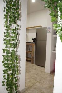 普拉亚卡门LYJ HOTEL Hab 21的带冰箱和植物的厨房