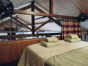 圣克鲁什达什弗洛里什Casa dos Botes的一间卧室配有一张带两个枕头的床