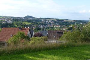 皮特林根"Bärenhaus" Ferienwohnung的享有小镇美景的山丘房屋