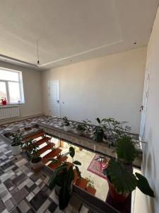 卡拉科尔Emir Guest House in Karakol的一间大房间,里面放着盆栽植物,房间铺着地板