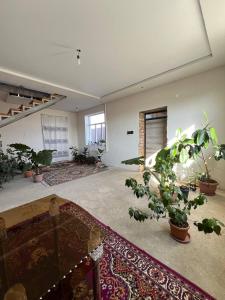 卡拉科尔Emir Guest House in Karakol的一间大房间,里面有很多植物