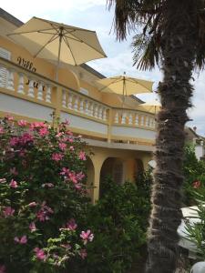 巴尔巴特纳拉布Apartments and Rooms Villa Luci的一座棕榈树和雨伞的建筑
