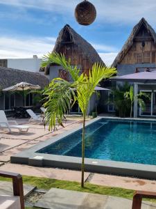 El Paredón Buena VistaGecko Hotel的游泳池前种有棕榈树的度假村