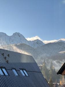 考斯赛力克Górski Domek Zakopane的享有山脉美景,设有太阳能屋顶