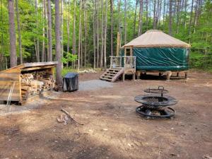 BrownfieldRufus III Yurt on the river的林地的凉亭和火坑