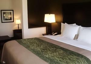 Woodward伍德沃德康福特茵酒店的酒店客房设有一张大床和一盏灯。