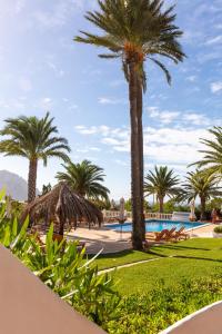 卡拉瓦德亚UNIO Ibiza - Adults Only的棕榈树和游泳池度假村