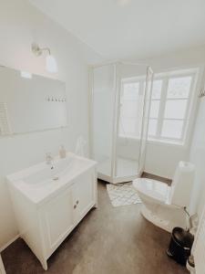 胡萨维克胡萨维克老校舍公寓的白色的浴室设有卫生间和水槽。