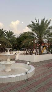 Al RahbaFarm dream的棕榈树公园和喷泉
